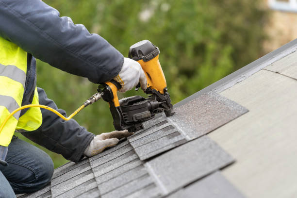 Best Roof Moss and Algae Removal  in Osburn, ID